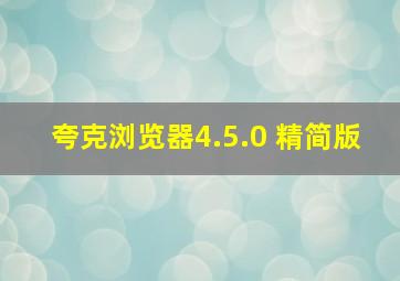 夸克浏览器4.5.0 精简版